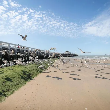 In Near Beach, Cleaning Included *