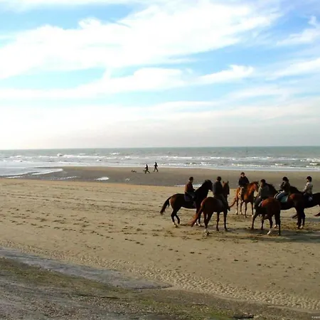 In Near Beach, Cleaning Included *